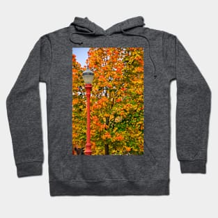 Fall Lamppost Hoodie